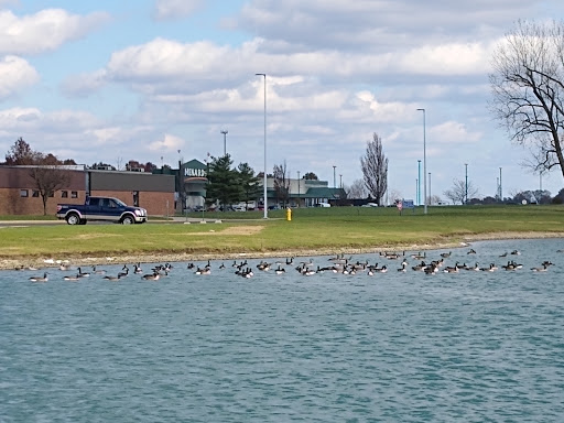 Grocery Store «Meijer», reviews and photos, 2153 Marion-Mt Gilead Rd, Marion, OH 43302, USA