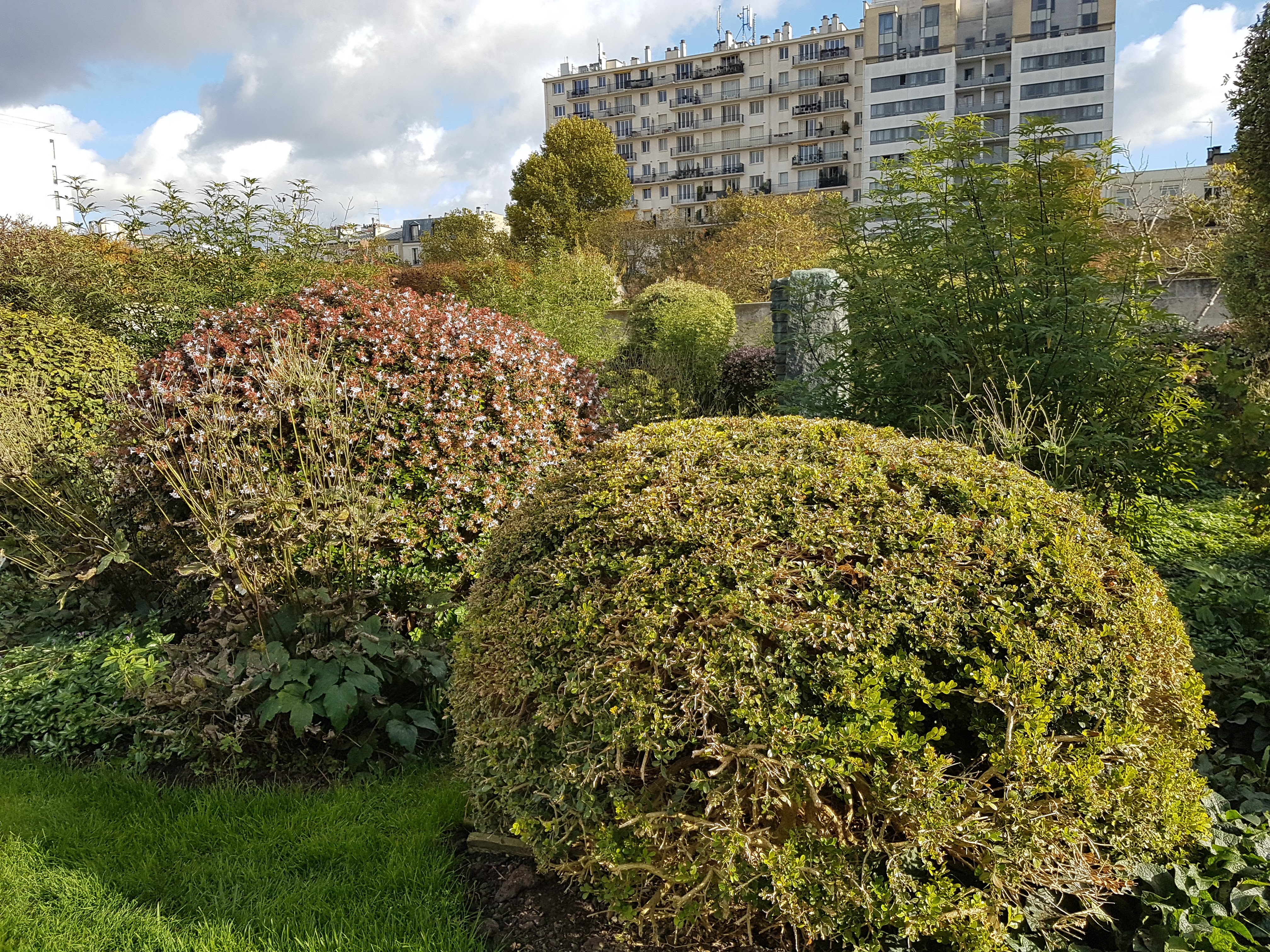 Photo n° 13 de l'avis de Rémy.E fait le 01/06/2019 à 16:42