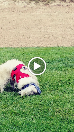 State Park «Bethpage State Park», reviews and photos, 99 Quaker Meeting House Rd, Farmingdale, NY 11735, USA