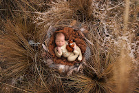 It's Sunny in Boise Photography / Maternity & Newborn Photographer - Photo 7 - Car repair in Boise, ID, Boise