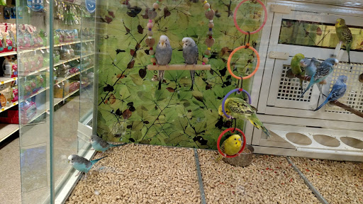 Pet Supply Store «PetSmart», reviews and photos, 6870 Ridge Rd, Parma, OH 44129, USA