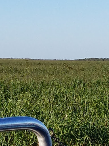 Tourist Attraction «Twister Airboat Rides», reviews and photos, 8199 W King St, Cocoa, FL 32926, USA