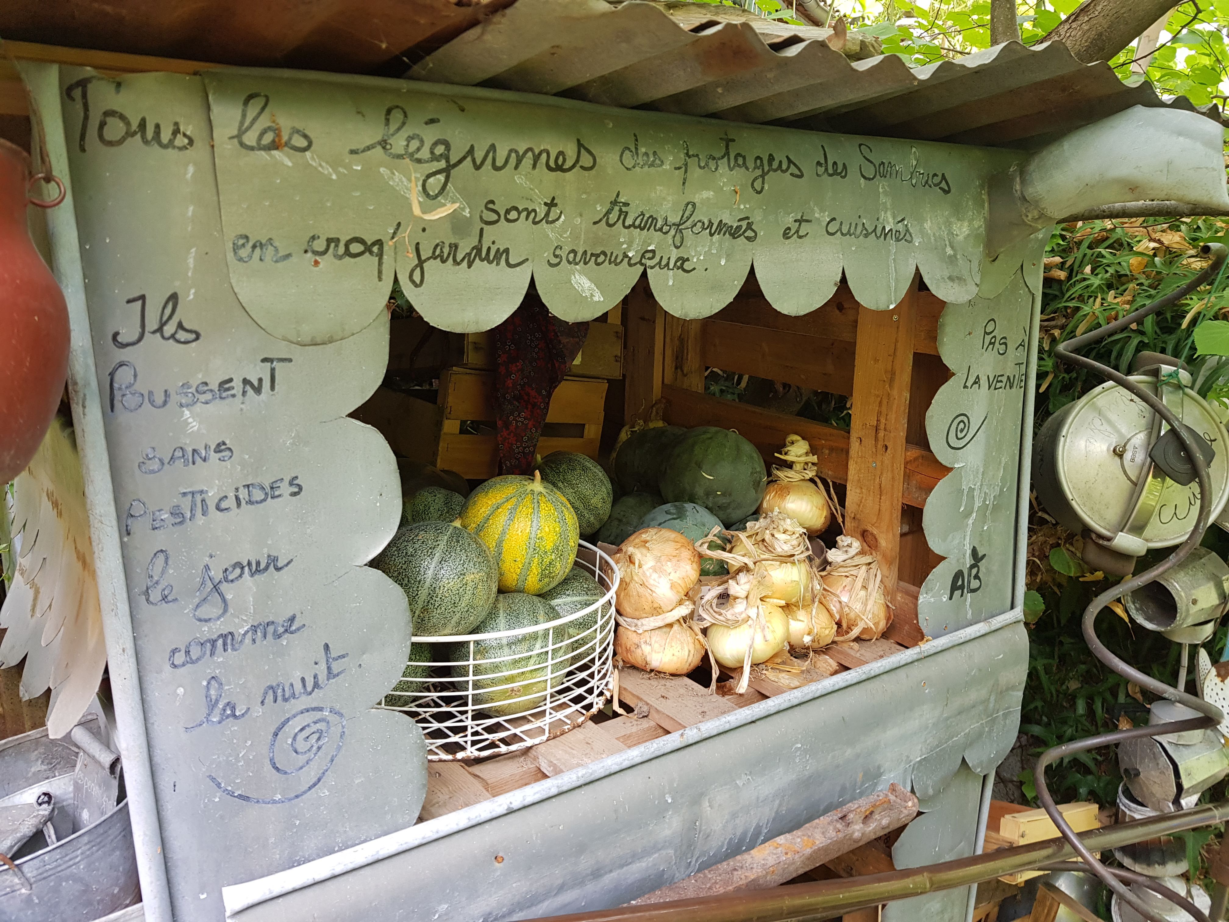 Photo n° 49 de l'avis de Dom.o fait le 02/09/2019 à 12:02