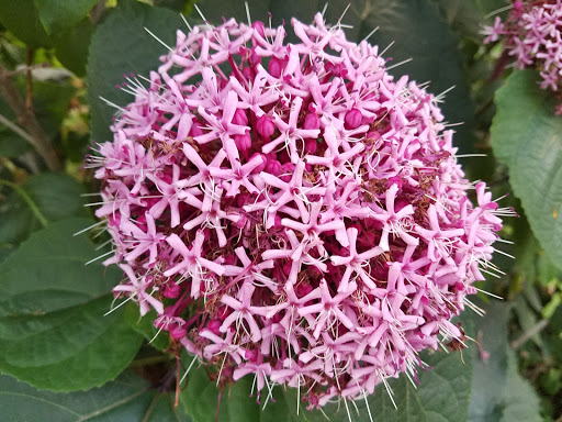 Park «Wilburton Hill Park», reviews and photos, 12400 Main St, Bellevue, WA 98005, USA