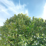 Photo n°13 de l'avis de Nicole.a fait le 02/10/2023 à 09:14 sur le  Leuchtenburg à Seitenroda