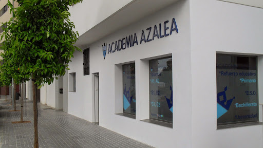 Academia Azalea