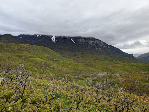 Bonneville Shoreline Trailhead