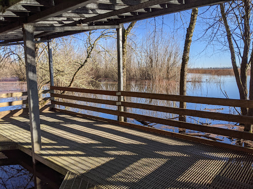 Nature Preserve «Smith and Bybee Wetlands Natural Area», reviews and photos, 5300 N Marine Dr, Portland, OR 97203, USA