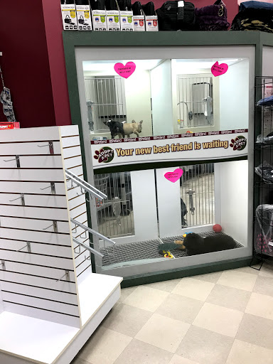 Pet Store «Petland Vineyard - San Antonio», reviews and photos, 1309 North Loop 1604 W #101, San Antonio, TX 78258, USA