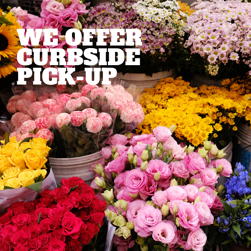 Gift Shop «In Bloom, Flowers and Gifts», reviews and photos, 1165 Old York Rd, Abington, PA 19001, USA