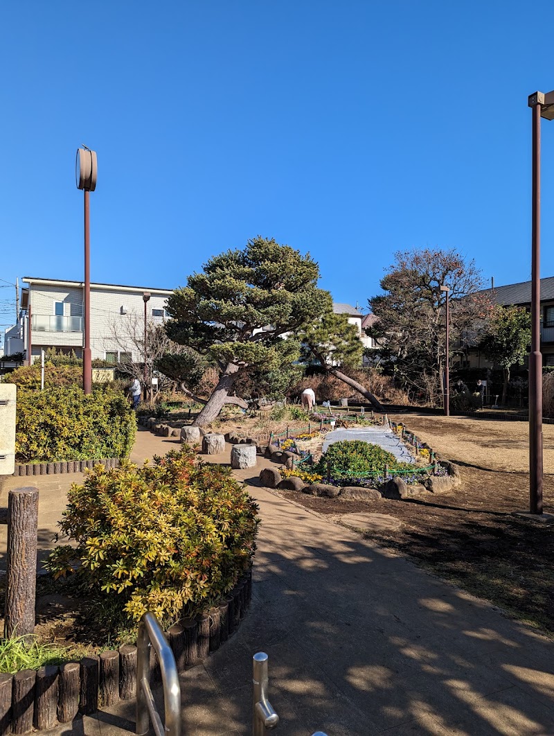 練馬区立シダ公園