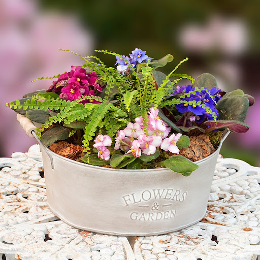 Florist «Stadium Flowers», reviews and photos, 3632 Broadway, Everett, WA 98201, USA