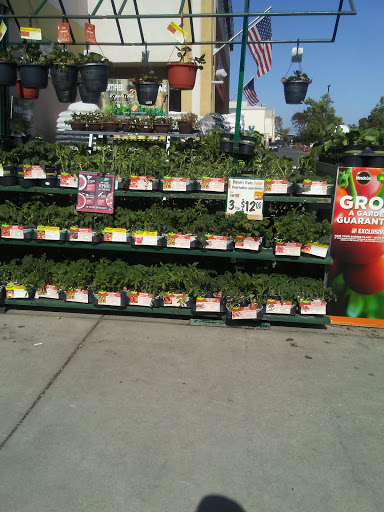 Home Improvement Store «The Home Depot», reviews and photos, 2300 N Park Blvd, Pittsburg, CA 94565, USA