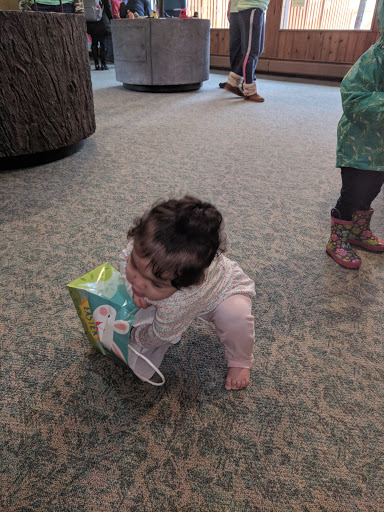 Museum «Harry C Barnes Memorial Nature Center», reviews and photos, 175 Shrub Rd, Bristol, CT 06010, USA