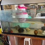 Photo n°1 de l'avis de Laura. fait le 17/03/2022 à 14:00 sur le  Stabilimento Balneare Eco del Mare a Maccarese - Ristorante di Pesce - Aperitivo in Spiaggia à Fiumicino