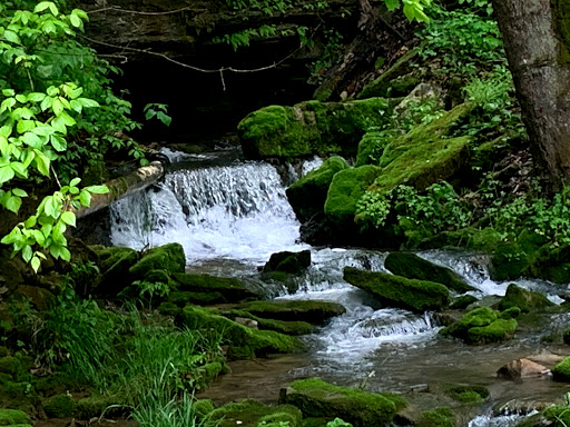 Tourist Attraction «Squire Boone Caverns», reviews and photos, 100 Squire Boone Rd SW, Mauckport, IN 47142, USA