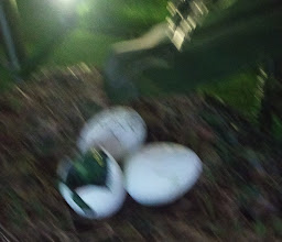 Interactive Science Museum photo