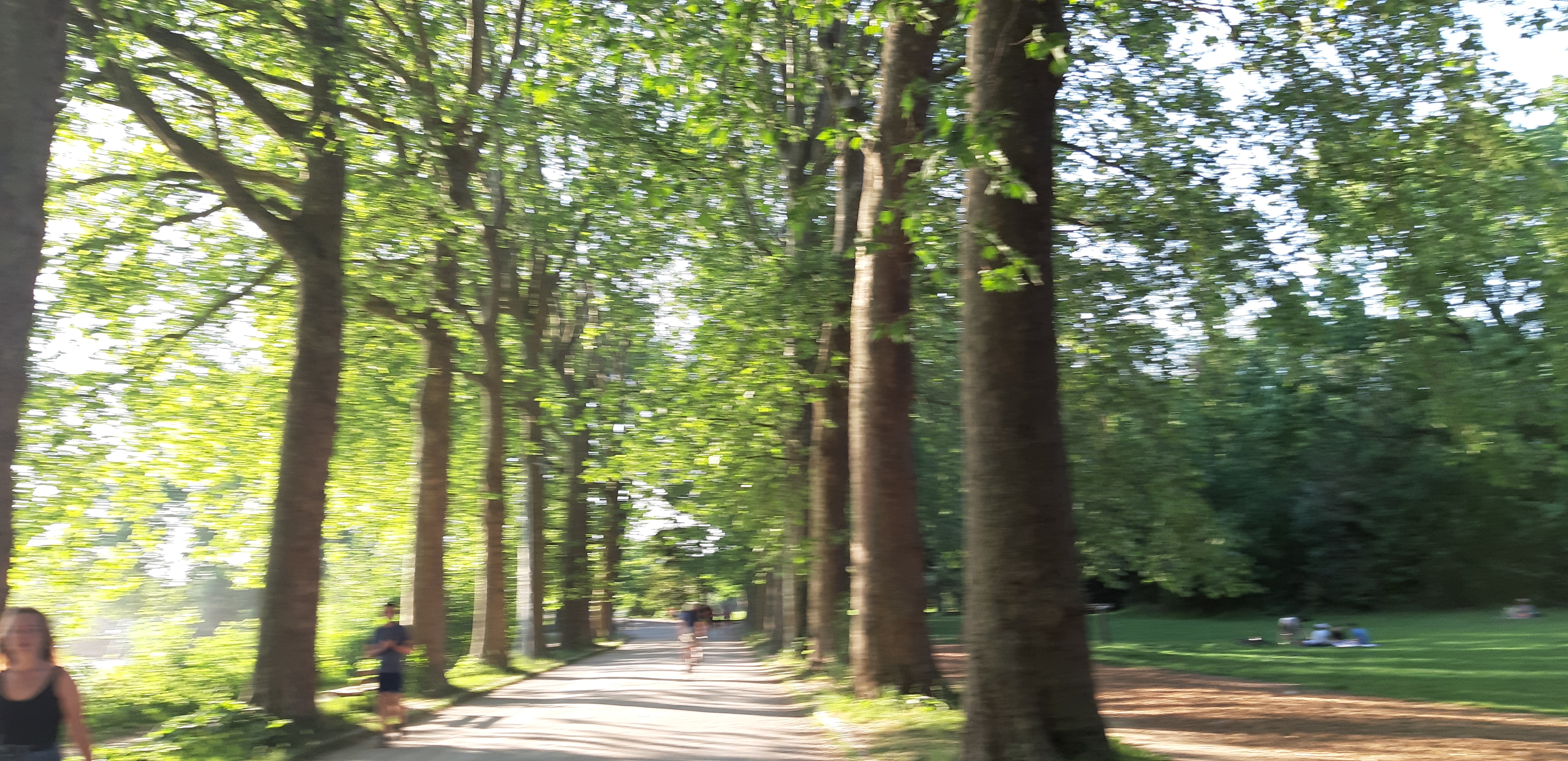 Photo n° 1 de l'avis de Ursula.o fait le 17/05/2022 à 19:27