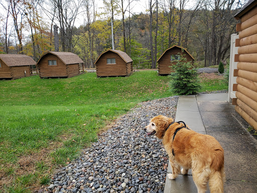 Campground «Herkimer Diamond KOA Resort», reviews and photos, 4626 NY-28, Herkimer, NY 13350, USA