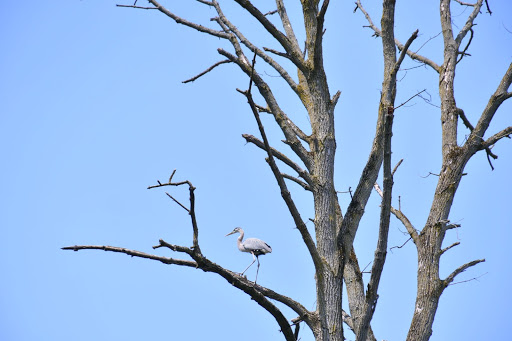 National Reserve «Montezuma National Wildlife Refuge», reviews and photos, 3395 US-20, Seneca Falls, NY 13148, USA