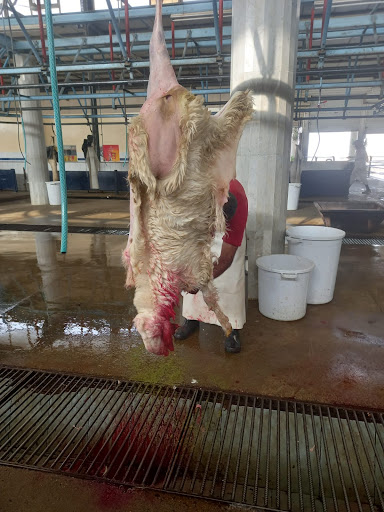 ملحمة الشام 