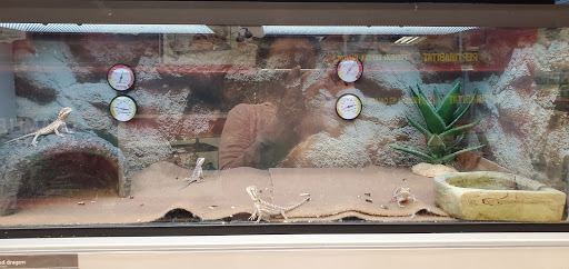 Pet Supply Store «Petco Animal Supplies», reviews and photos, 3380 124th Ave NW, Coon Rapids, MN 55433, USA