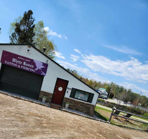 Explore filler tattoo background ideas, creative tattoo ideas in Norway, available at Norway Lakes White Raven Tattoo