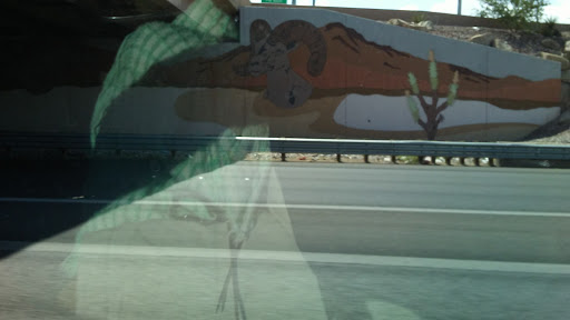 Amusement Center «Sky Zone Trampoline Park», reviews and photos, 7440 Dean Martin Dr #201, Las Vegas, NV 89139, USA