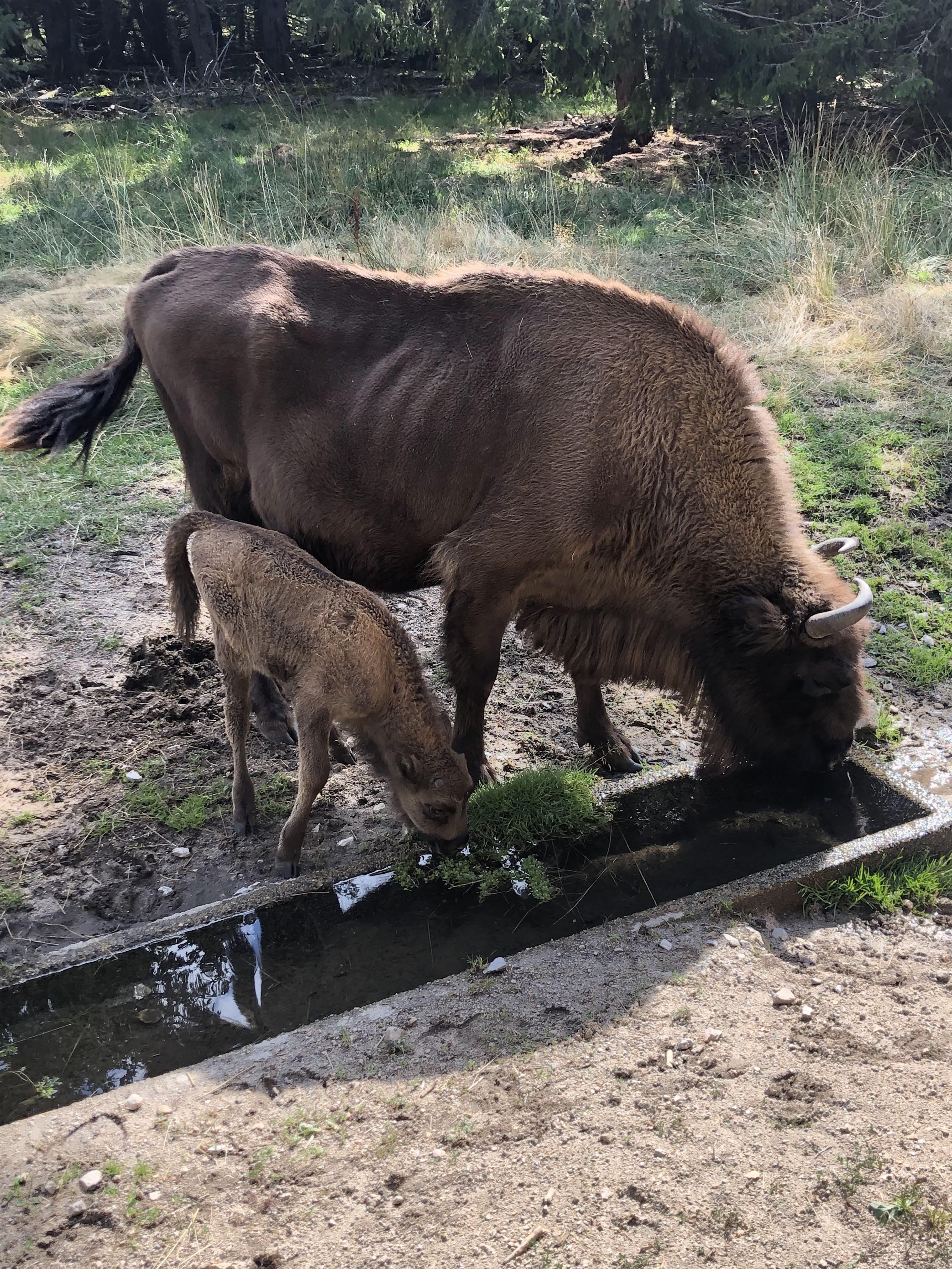 Photo n° 4 de l'avis de Manon.R fait le 30/08/2020 à 07:37