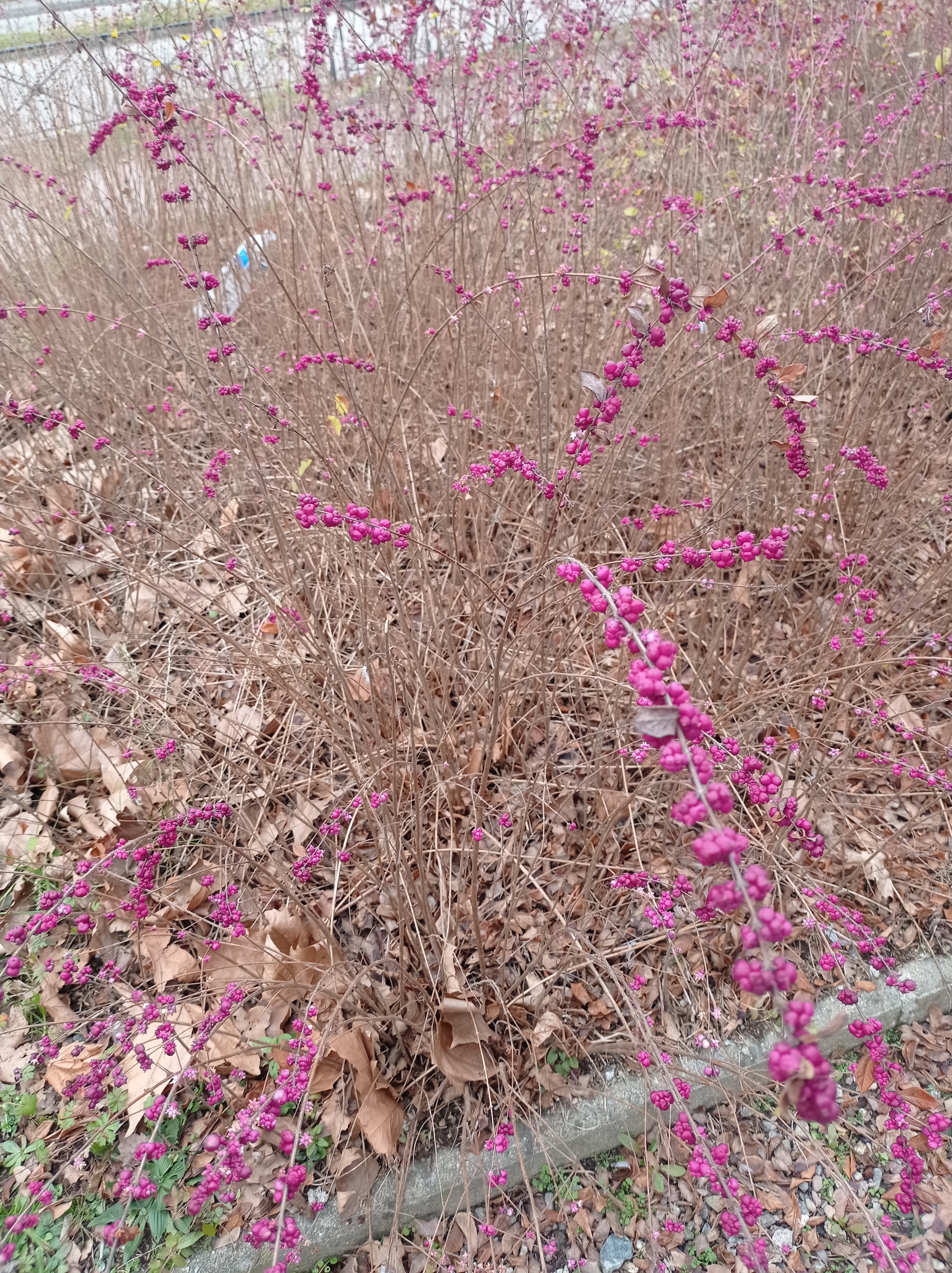 Photo n° 2 de l'avis de Valérie.e fait le 26/01/2021 à 15:08