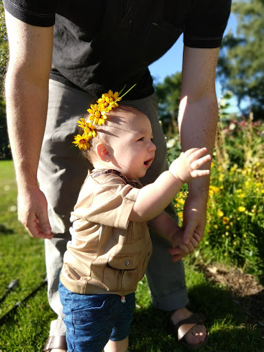 Park «Gamebird Park», reviews and photos, 1500 Mallard Ave, Springfield, OR 97477, USA