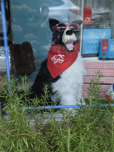 Pet Supply Store «Pet People Los Gatos», reviews and photos, 514 N Santa Cruz Ave, Los Gatos, CA 95030, USA