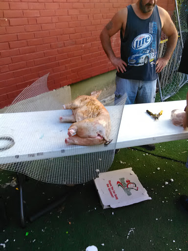 Lounge «Ward 6 Social Political Club LLC», reviews and photos, 57 Springfield St, Lawrence, MA 01843, USA