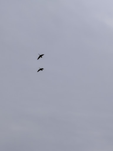 Nature Preserve «John Burroughs Slabsides», reviews and photos, Burroughs Dr, West Park, NY 12493, USA