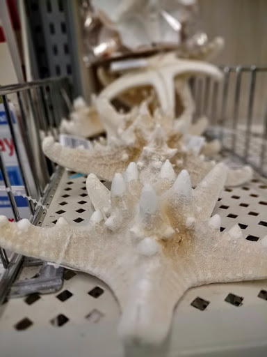 Craft Store «Michaels», reviews and photos, 1977 Scenic Hwy N G, Snellville, GA 30078, USA