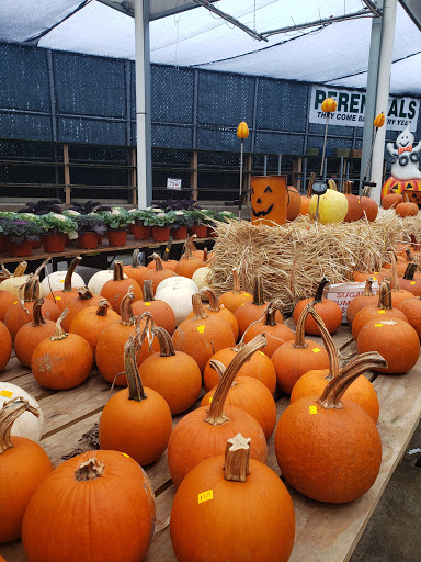 Florist «Metropolitan Plant & Flower Exchange Inc.», reviews and photos, 2125 Fletcher Ave, Fort Lee, NJ 07024, USA