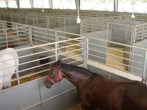 Event Venue «Lamar Dixon Expo Center», reviews and photos, 9039 S St Landry Ave, Gonzales, LA 70737, USA