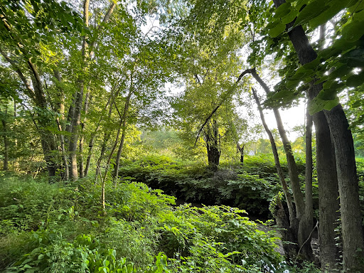 Nature Preserve «Teaneck Creek Conservancy», reviews and photos, 20 Puffin Way, Teaneck, NJ 07666, USA