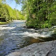 Paradise Price Preserve