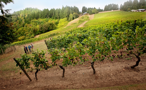 Winery «Kramer Vineyards», reviews and photos, 26830 NW Olson Rd, Gaston, OR 97119, USA