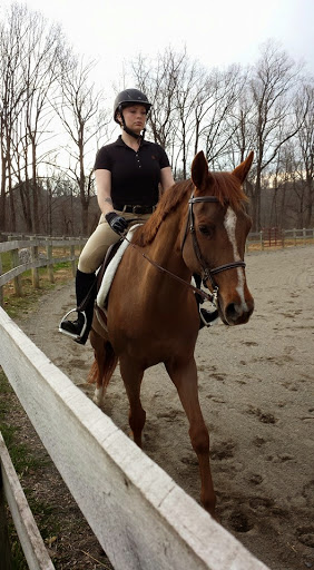 Horse Riding School «Horseng Farm LLC», reviews and photos, 6475 Warden Rd, New Tripoli, PA 18066, USA