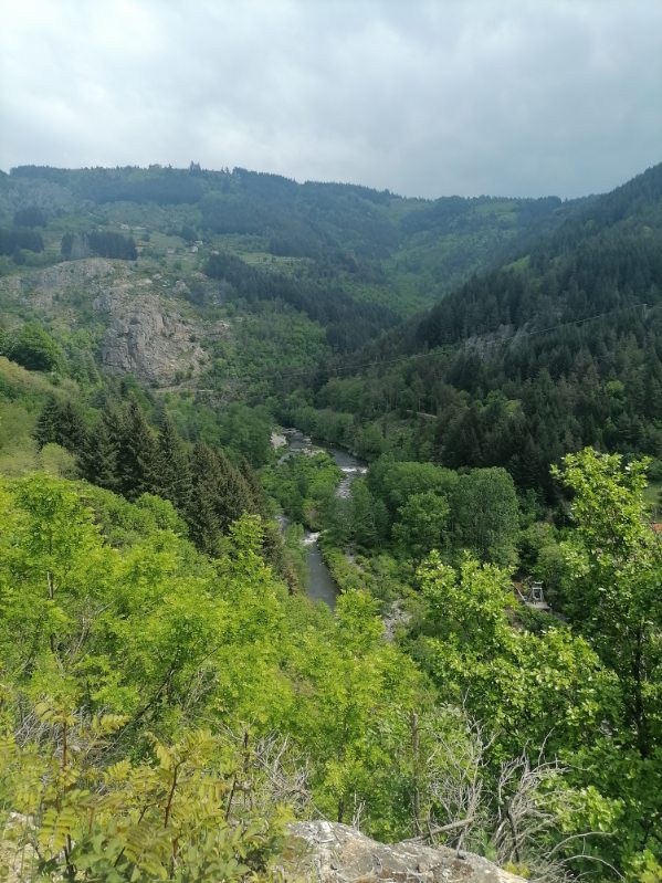 Photo n° 3 de l'avis de T. fait le 15/05/2023 à 19:09