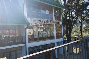 Sri Lanka Tea Board - Tea Sales Center - Nuwara Eliya image