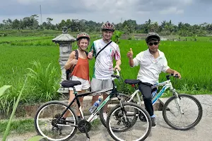 Bali Emerald Cycling Tour image