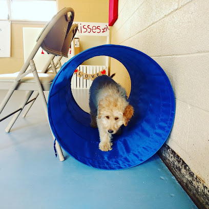 AF1QipMCGCzVCL2W4q6Z_pByW_JfIU47YDrerWoIPjHy=w408-h408-k-no