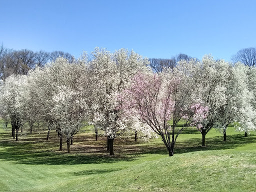 Park «Sprain Ridge Park», reviews and photos, 149 Jackson Ave, Hastings-On-Hudson, NY 10706, USA