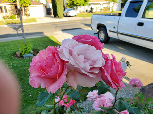 Pet Supply Store «Bradshaw Feed & Pet Supply», reviews and photos, 7285 Bradshaw Rd, Sacramento, CA 95829, USA