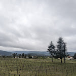 Photo n°8 de l'avis de Claude.a fait le 12/03/2023 à 17:14 sur le  Flag Hotel Convento do Desagravo à Vila Pouca da Beira