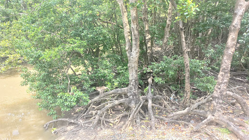 Top 20 cửa hàng play Huyện Cần Giờ Hồ Chí Minh 2022