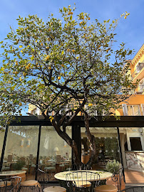 Les plus récentes photos du Restaurant méditerranéen Le Patio Restaurant & Terrasse à Nice - n°2